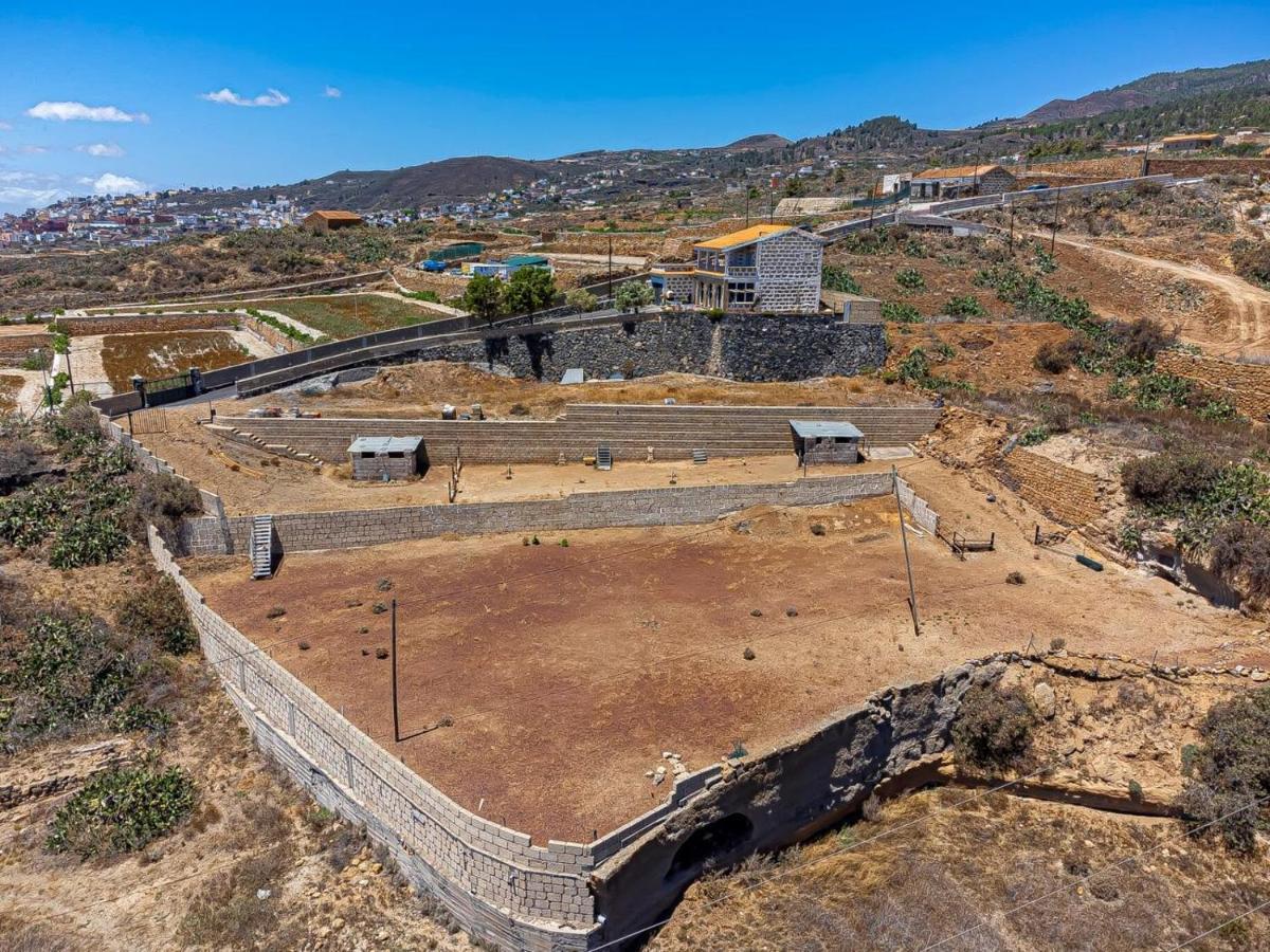 Finca Los Blanquitos Amazing With 3,000 M2 Of Land Granadilla De Abona Bagian luar foto